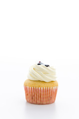 Cupcakes isolated on white background