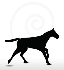 horse silhouette in running position