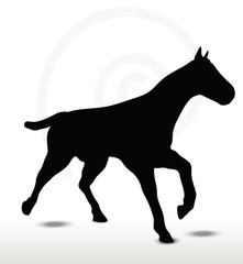 horse silhouette in running position