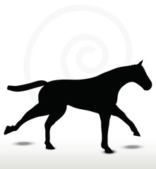 horse silhouette in running position