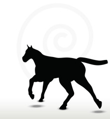 horse silhouette in running position