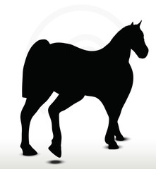 horse silhouette in walking position