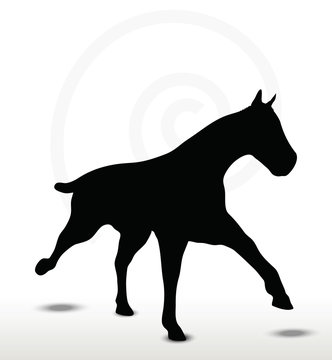 horse silhouette in running position