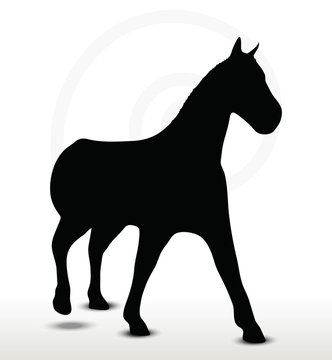 horse silhouette in walking position