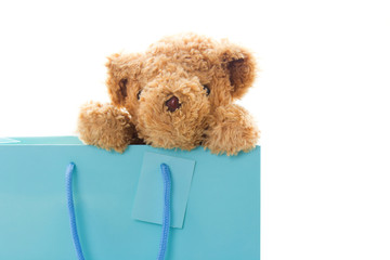 Teddy bear in blue paper bag isolated on white background