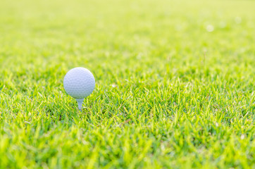 Golf ball on green grass