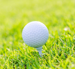 Golf ball on green grass