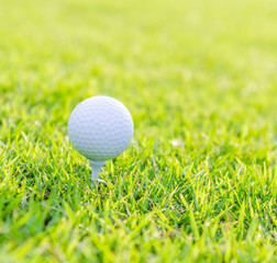 Golf ball on green grass