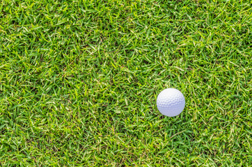 Golf ball on green grass