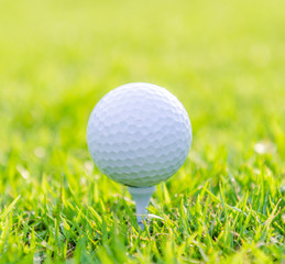 Golf ball on green grass
