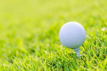 Golf ball on green grass
