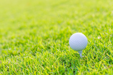 Golf ball on green grass