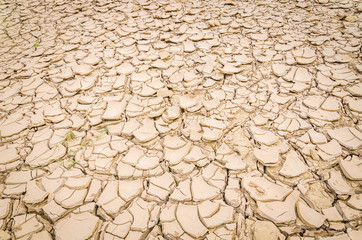 cracked soil