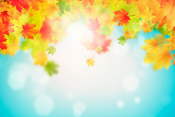 Autumn leaves