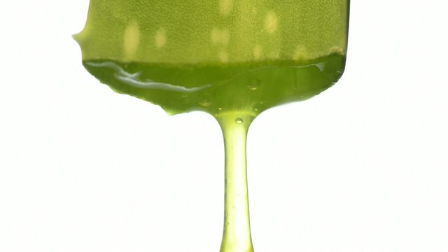 Aloe vera Gel tropft aus einem Aloe Blatt
