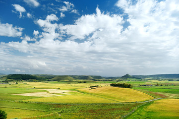 Scenic landscape of a yellow and green meadow