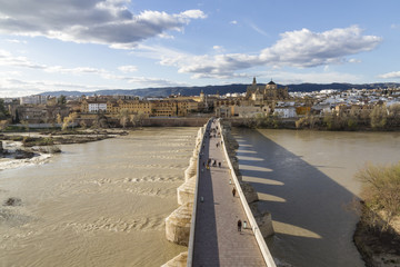 Fototapeta premium mezquita y puente romano
