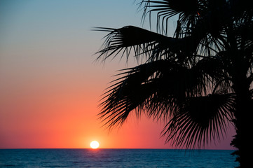 Fototapeta na wymiar Sunset beach, evening sea, palm trees