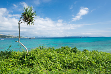 沖縄の海　瀬底島