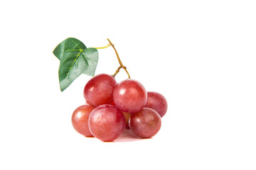 Obraz premium red grapes