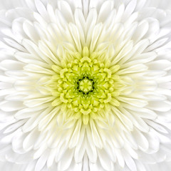 White Mandala Concentric Flower Center Kaleidoscope