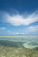 Fototapeta premium 沖縄の海 備瀬海岸