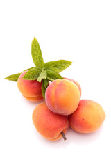 abricots