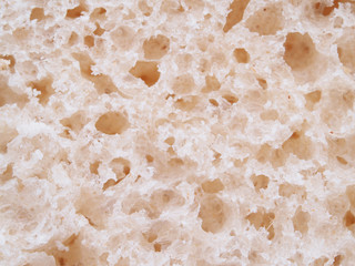bread on a white background