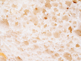bread on a white background