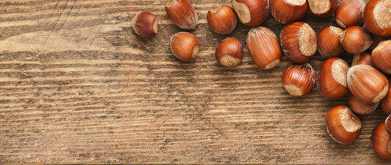 Hazelnut on wood