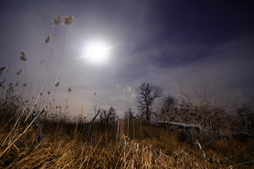 Full moon halo rays - night full moon landscape - 66183063
