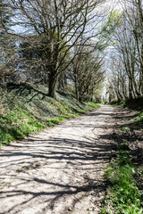 Chemin de randonnée