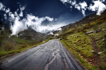 Camino de montaña con árboles y cielo azul