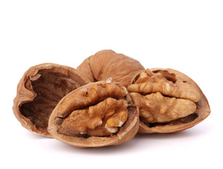 walnut