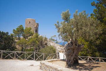 Torre 5