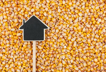House pointer, the price tag lies on  corn © alekleks