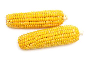 corn on the cob on a white background