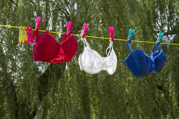Womens bras on the washing line