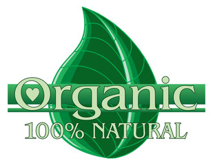 Organic Green Design With Leaf