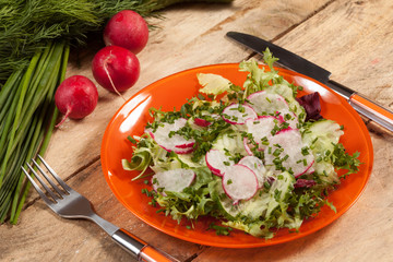 Salad with radish and green cucumber