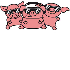 3 Freunde Party DJ Team Schweine
