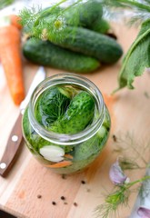 Fresh cucumbers in the jar, just filled with brine.