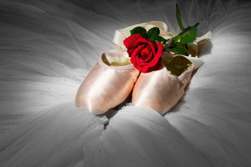 Old used ballet slippers lying on floor with rose and tutu © Alta Oosthuizen