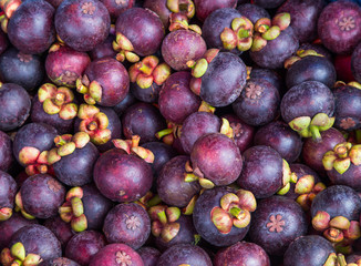 Mangosteen (tropical fruit) on sales in the market of Thailand