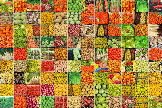 collage of photographs of vegetables and fruits