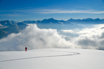 Skier in winter landscape