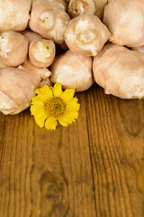 Topinambur roots on table close-up