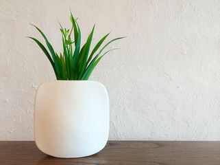 Decorative plant in white vase