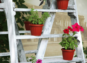 Fototapeta na wymiar Wooden frame with flowers pots in garden
