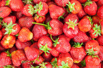 Strawberry background